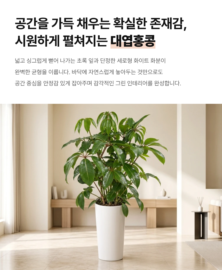 section-03.png c1c87518a3b46d260c7d6438d3ce4757_1788760810_1785.png