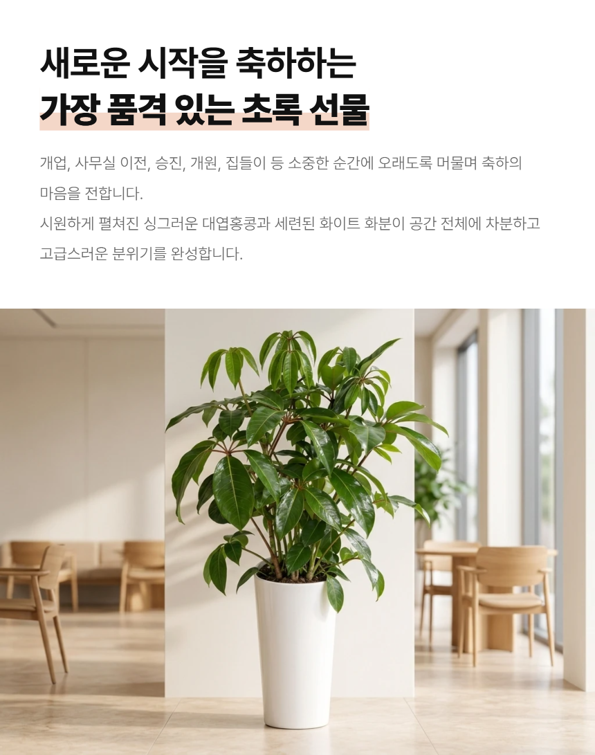 section-06.png c1c87518a3b46d260c7d6438d3ce4757_1788760810_1884.png