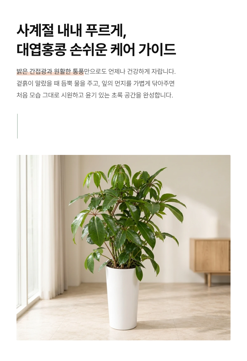 section-05.png c1c87518a3b46d260c7d6438d3ce4757_1788760810_289.png