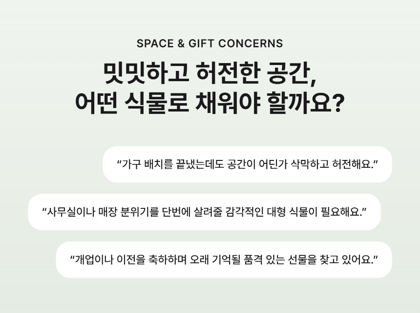 section-02.png c1c87518a3b46d260c7d6438d3ce4757_1788762618_3479.png