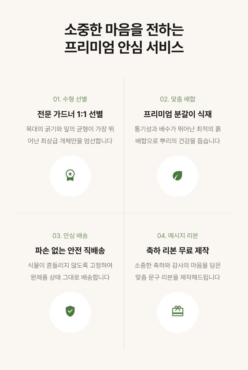 section-08.png c1c87518a3b46d260c7d6438d3ce4757_1788762618_3804.png