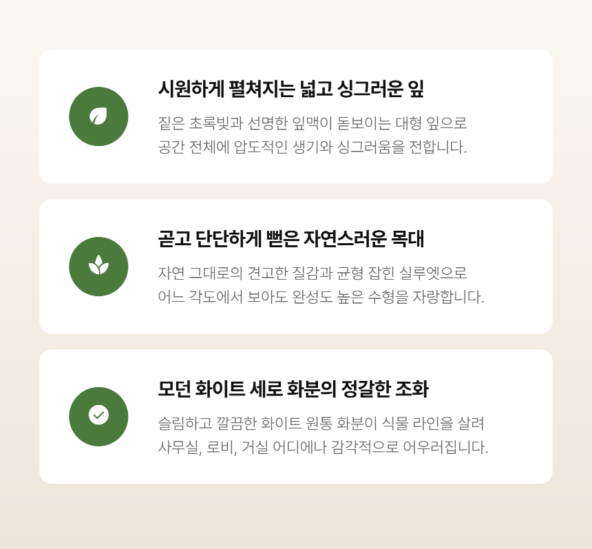 section-04.png c1c87518a3b46d260c7d6438d3ce4757_1788762618_4775.png
