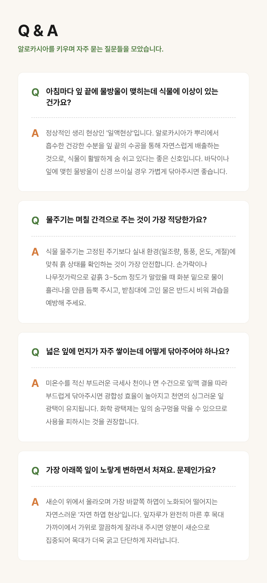 section-10.png c1c87518a3b46d260c7d6438d3ce4757_1788762618_5313.png
