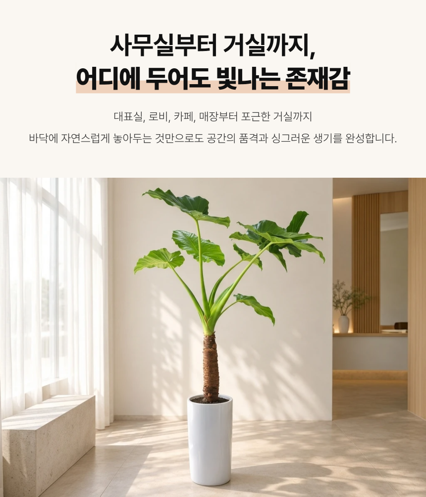 section-06.png c1c87518a3b46d260c7d6438d3ce4757_1788762618_6165.png