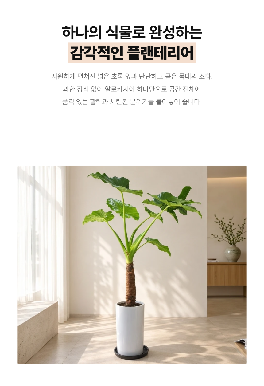 section-03.png c1c87518a3b46d260c7d6438d3ce4757_1788762618_7064.png
