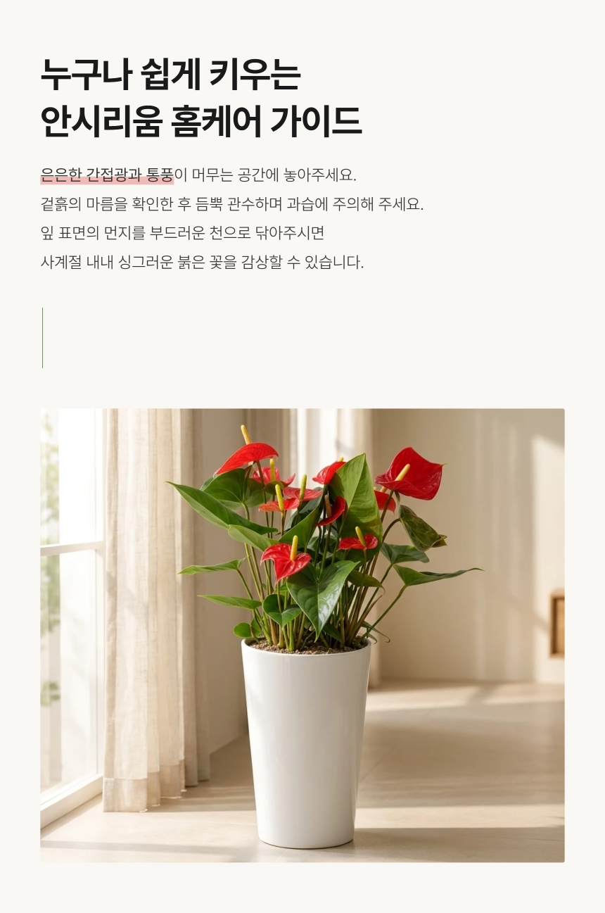 section-05.png c1c87518a3b46d260c7d6438d3ce4757_1788763930_9376.png
