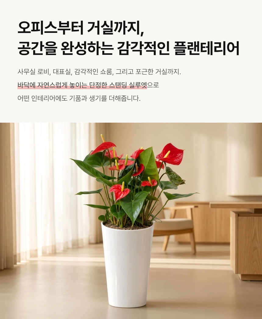 section-06.png c1c87518a3b46d260c7d6438d3ce4757_1788763930_9479.png
