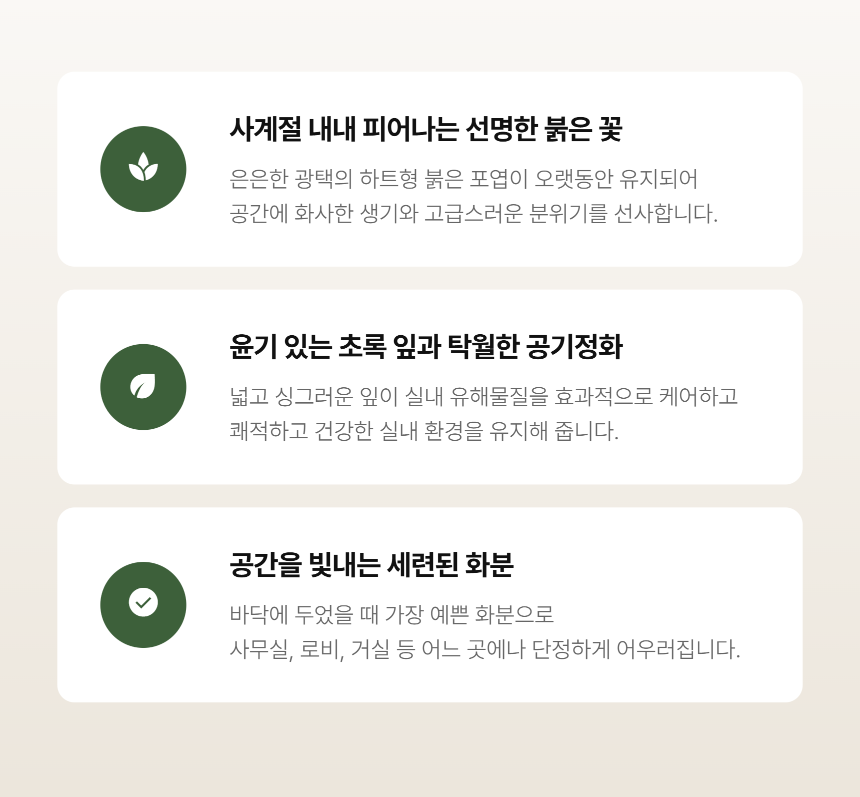 section-04.png c1c87518a3b46d260c7d6438d3ce4757_1788763930_9838.png