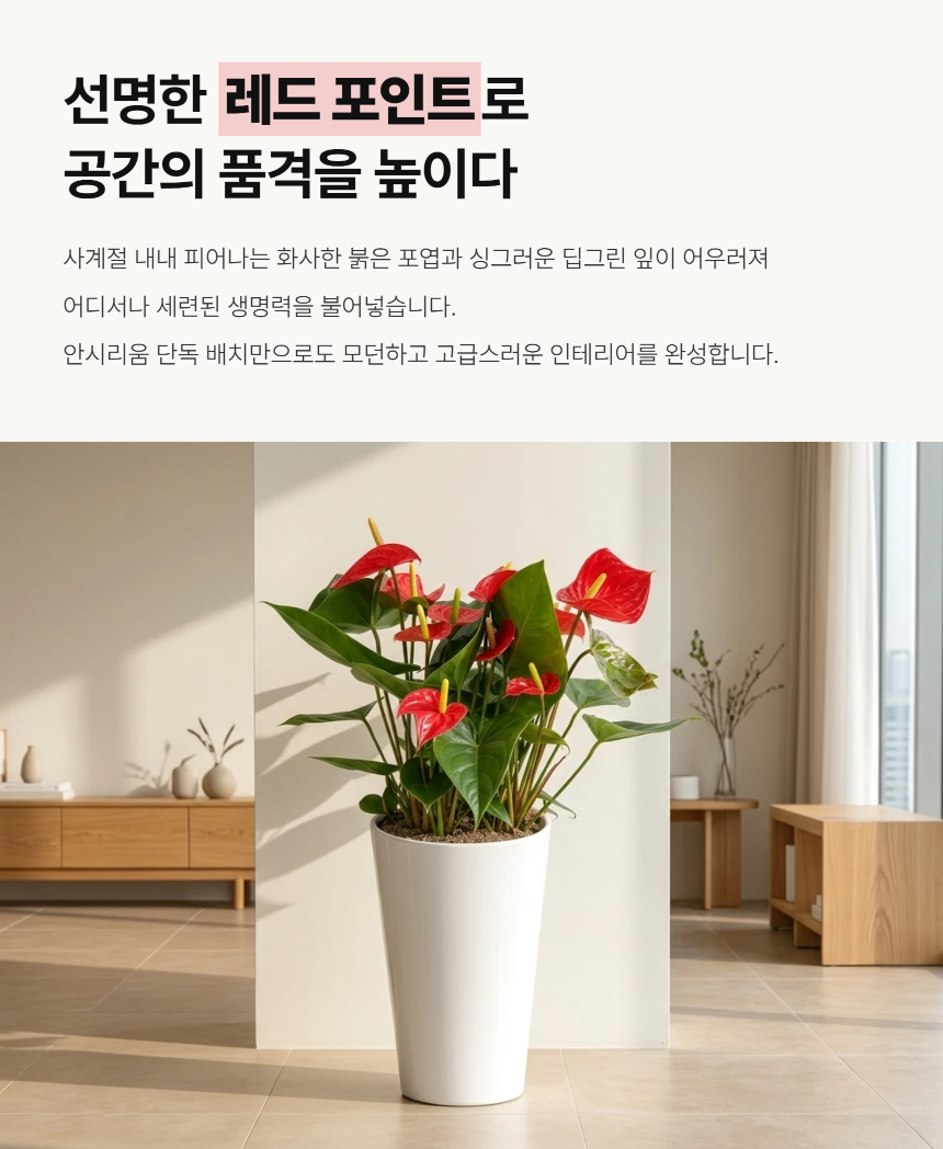 section-03.png c1c87518a3b46d260c7d6438d3ce4757_1788763931_0307.png