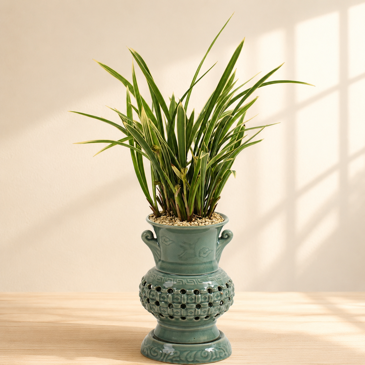 Oriental Orchid Hwangnyonggeum (Carved Pot)